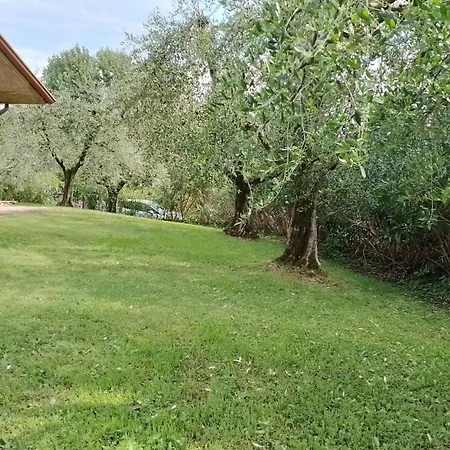 Casa Degli Ulivi Villa