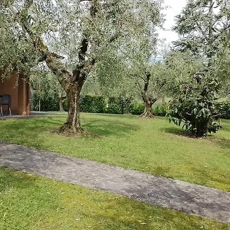 Casa Degli Ulivi