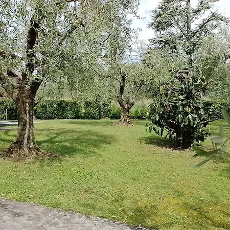 Casa Degli Ulivi *