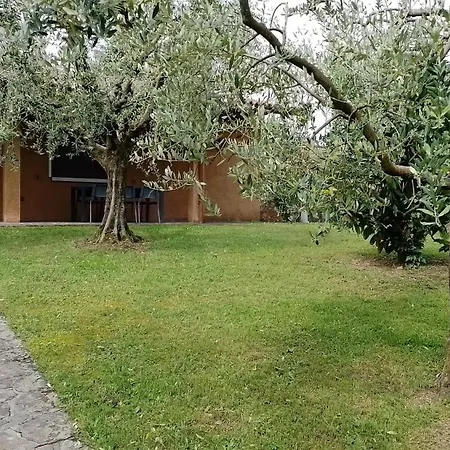Casa Degli Ulivi Villa